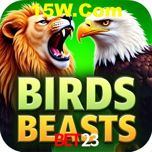 PIX Instantâneo bet23